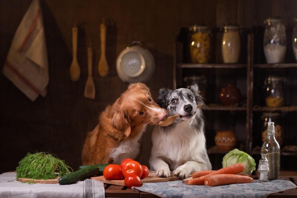 5 Vorteile einer vegetarischen Ernährung für Hunde - HenArt® | Nachhaltiges Tierfutter für Hund und Katze 